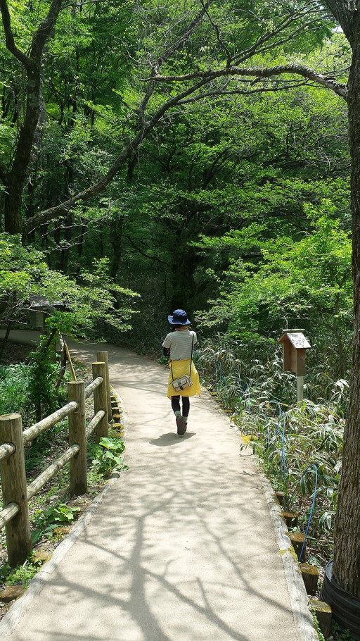 5月10~11日 大分をウロウロ~ 5月10~11日 大分をウロウロ~