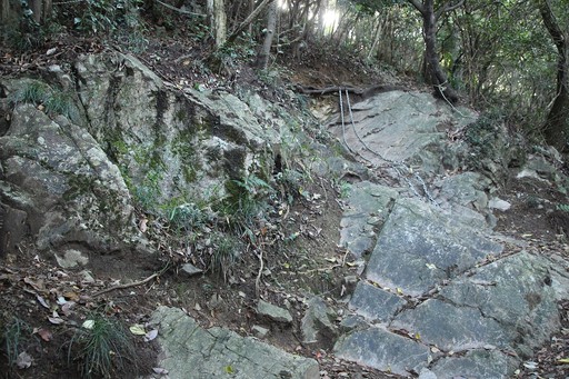 11月10日 小文字山 ソロ 11月10日 小文字山 ソロ