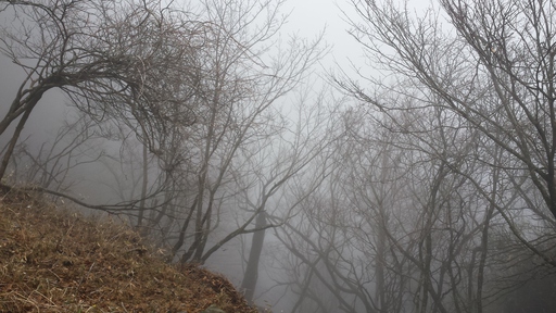 3月15日 英彦山登山 3月15日 英彦山登山