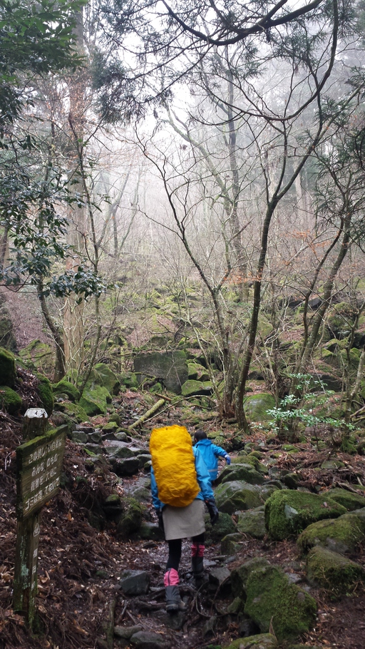 3月15日 英彦山登山 3月15日 英彦山登山