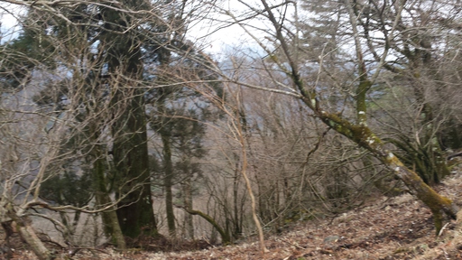 3月15日 英彦山登山 3月15日 英彦山登山