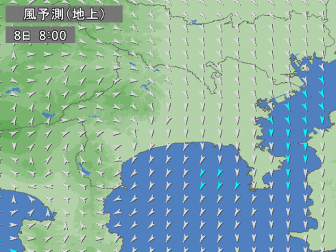 岩ノリ