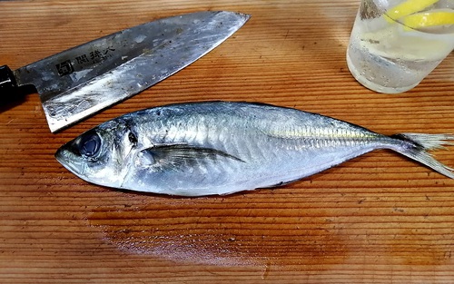 一尾 120円の鯵のたたき 一尾 120円の鯵のたたき
