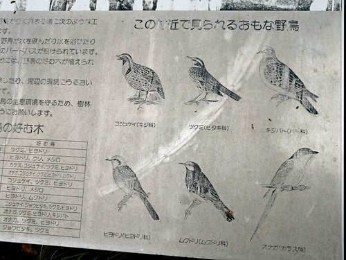 TWのセルが回った TWのセルが回った