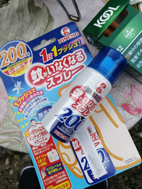 夏休み 今年も行ってきた 夏休み 今年も行ってきた