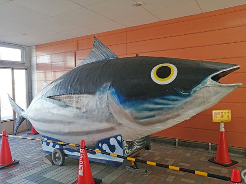 もう少ししたら 初ガツオの季節ですね もう少ししたら 初ガツオの季節ですね