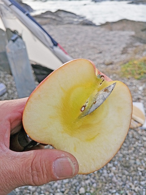 作り直した カブカウンター広げてみた 作り直した カブカウンター広げてみた
