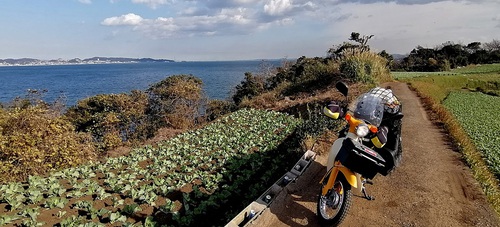 帰り道 岬めぐり楽しかった 帰り道 岬めぐり楽しかった