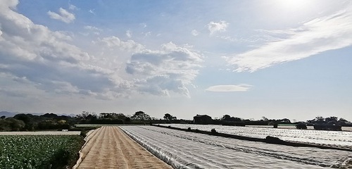 帰り道 岬めぐり楽しかった 帰り道 岬めぐり楽しかった