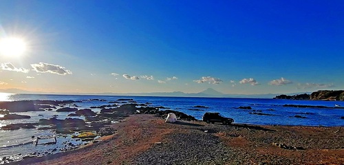 もうすぐ1月も終わってしまいます もうすぐ1月も終わってしまいます