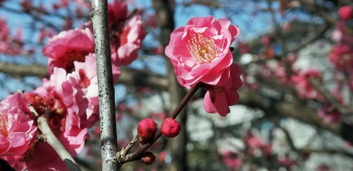 早すぎる撤収の件 早すぎる撤収の件