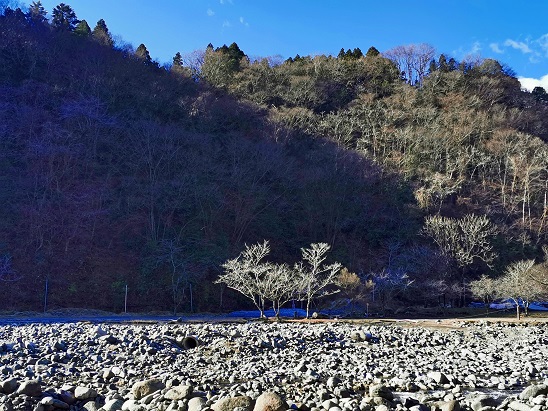 明けましておめでとうございます 明けましておめでとうございます