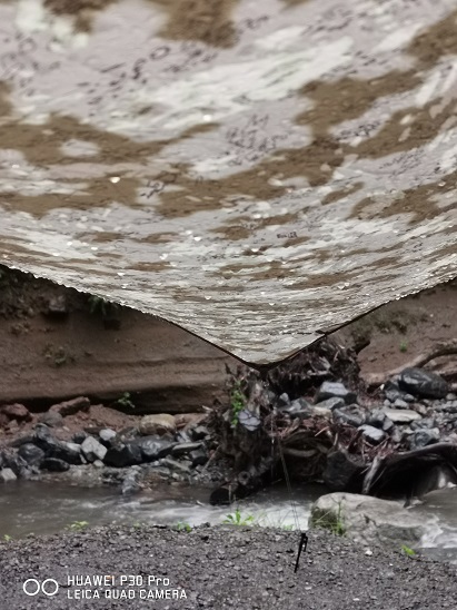 雨音で目が覚めた 道志の森キャンプ場の朝 雨音で目が覚めた 道志の森キャンプ場の朝
