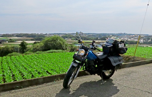 やっと TW バッテリー充電のキャンプに出ます やっと TW バッテリー充電のキャンプに出ます