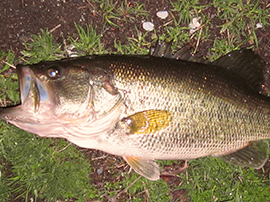 【釣行】久しぶりの釣行は 【釣行】久しぶりの釣行は