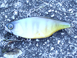 【釣行】春らしい釣果! 【釣行】春らしい釣果!
