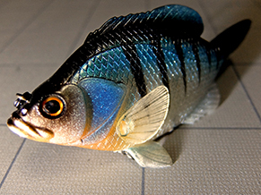 【釣行】駄目元だとしても 【釣行】駄目元だとしても