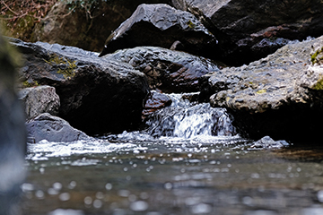 【諸々】FUJIFILM X-T30 + XF18-55mm F2.8-4 R LM OIS 【諸々】FUJIFILM X-T30 + XF18-55mm F2.8-4 R LM OIS