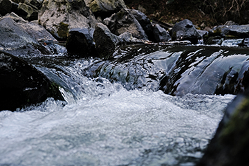 【諸々】FUJIFILM X-T30 + XF18-55mm F2.8-4 R LM OIS 【諸々】FUJIFILM X-T30 + XF18-55mm F2.8-4 R LM OIS
