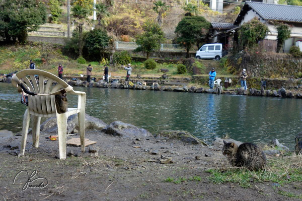 浅川国際鱒釣り場