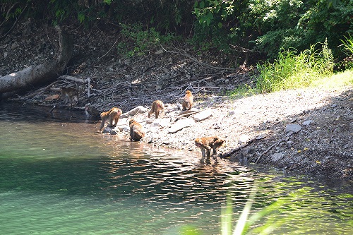 糸魚川世界ジオパーク　高浪の池キャンプ場　その１