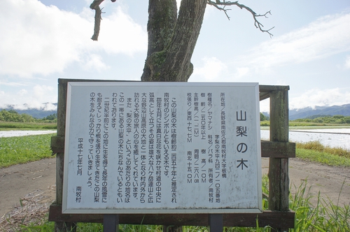 星空を見に長野へ 星空を見に長野へ