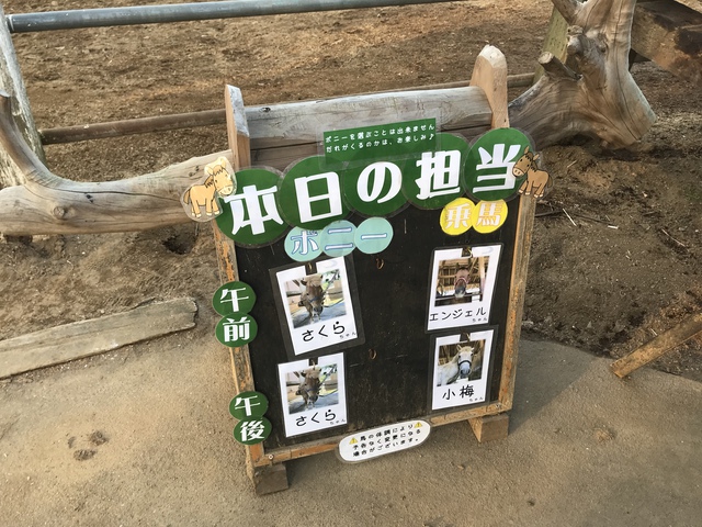 キャンプじゃないよ!成田ゆめ牧場 キャンプじゃないよ!成田ゆめ牧場