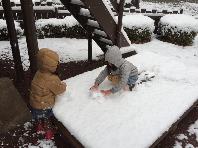 プチ雪中キャンプ?! キャンプアンドキャビンズ 2016.11.23~24 プチ雪中キャンプ?! キャンプアンドキャビンズ 2016.11.23~24