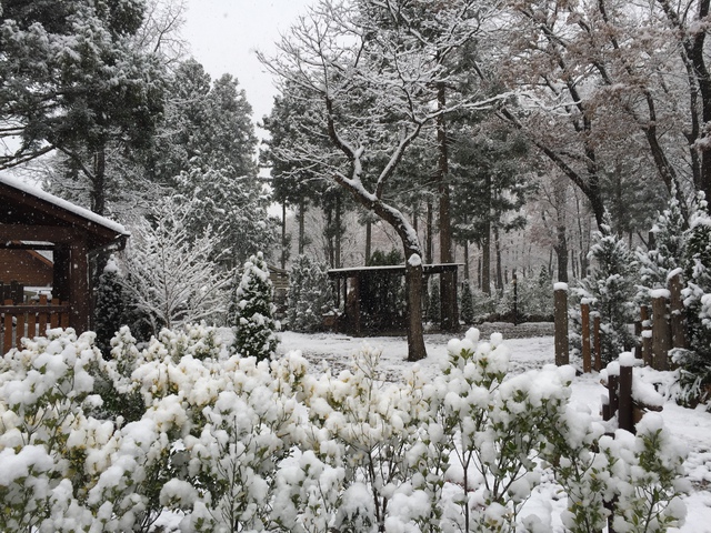 プチ雪中キャンプ?! キャンプアンドキャビンズ 2016.11.23~24 プチ雪中キャンプ?! キャンプアンドキャビンズ 2016.11.23~24