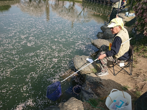 マス釣り開催：深谷市 下台池