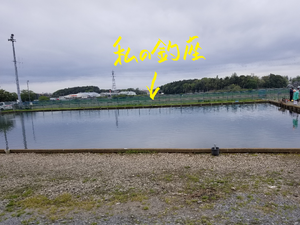 これは釣れそうだ! これは釣れそうだ!