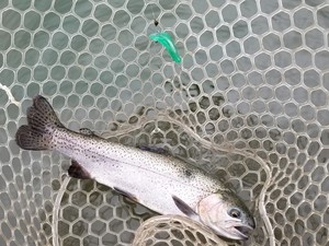 これは釣れそうだ! これは釣れそうだ!