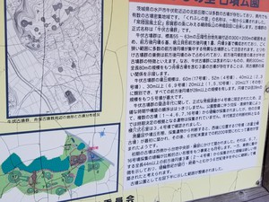 納豆パフェ 納豆パフェ