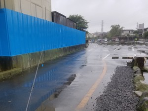 バケツブルーで初キャッチ バケツブルーで初キャッチ