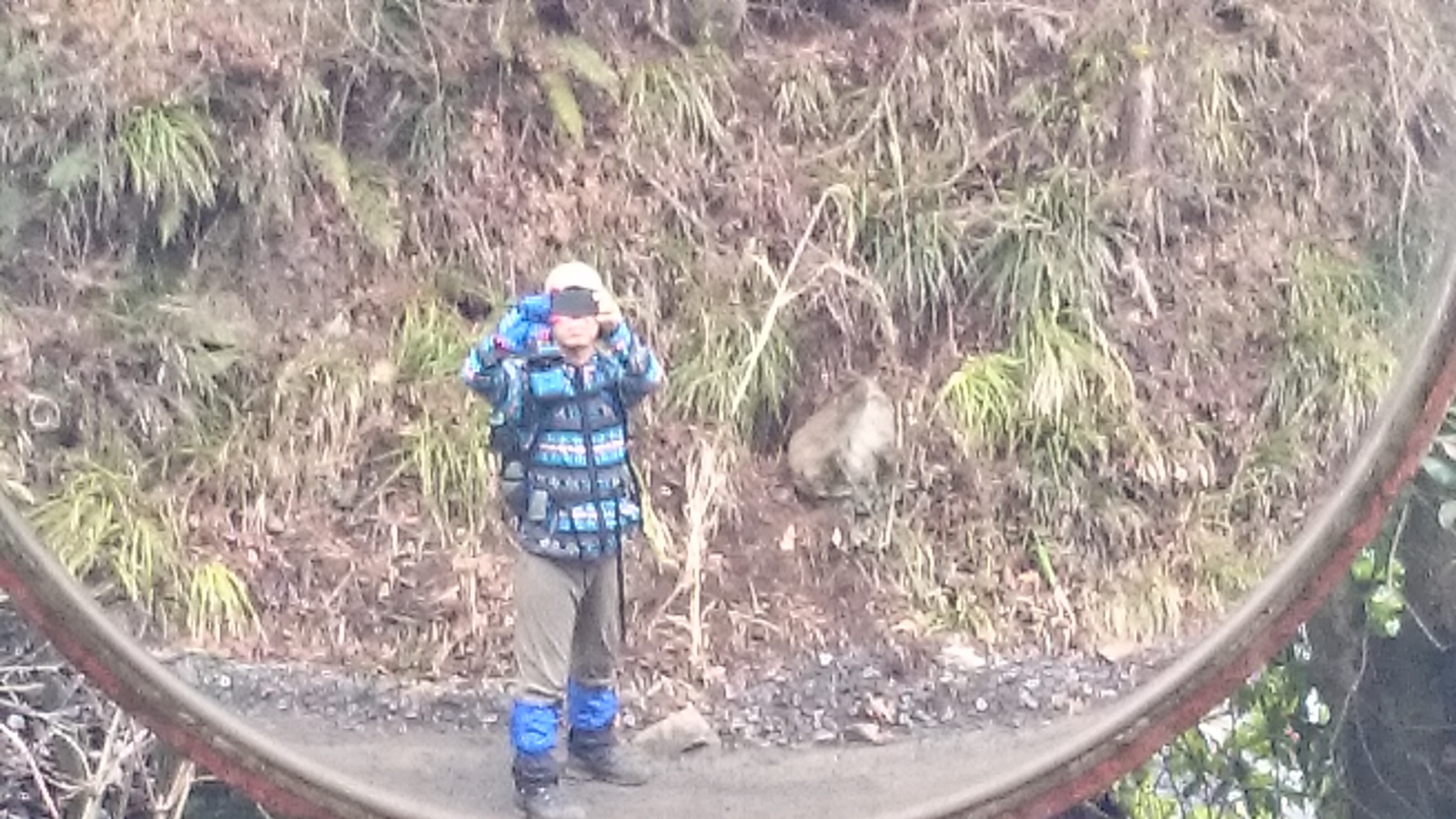 大岳キャンプ場＆大岳山ハイク（2015年2、3泊目）