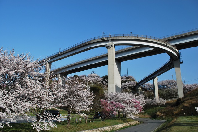 景色は最高 景色は最高