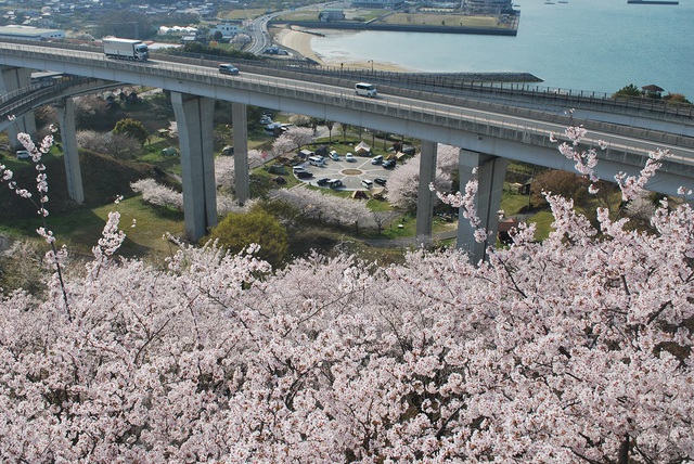 多々羅キャンプ場 多々羅キャンプ場