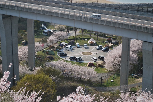 多々羅キャンプ場 多々羅キャンプ場