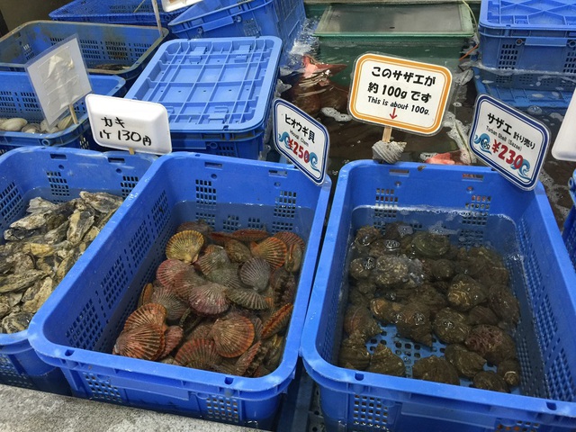 道の駅よしうみいきいき館店内 道の駅よしうみいきいき館店内