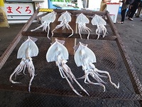 いつもと違う週末