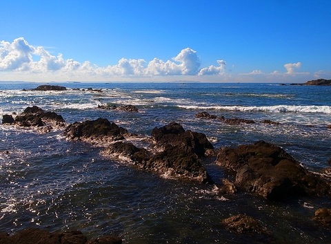 三浦 夏の朝
