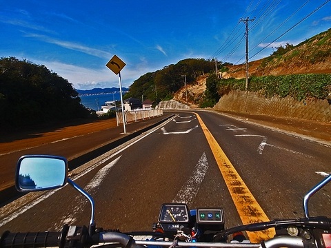 三浦 夏の朝
