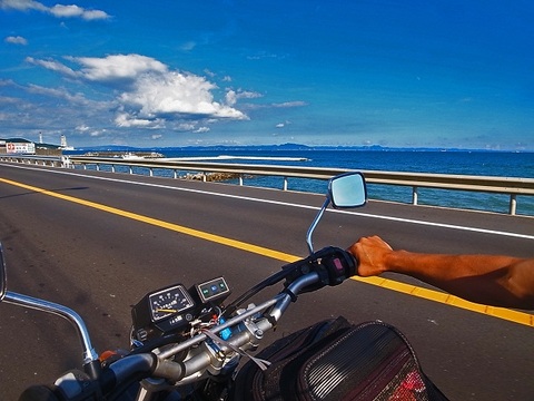 三浦 夏の朝