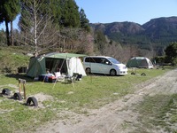 ブログ開設1周年～さくらでキャンプ