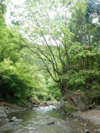 南秋川風景