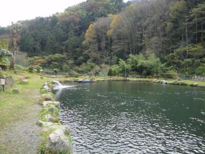 浅川国際マス釣場