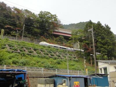 浅川国際マス釣場