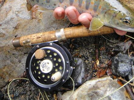 59トリオ:メダリスト、ホロコナ、渓魚と私