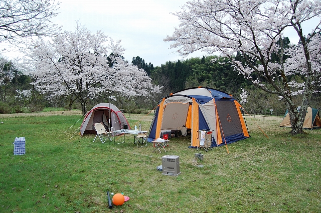 上和田緑地キャンプ場