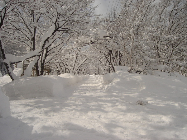 『ロミさん!雪中野営in大鬼谷2012』